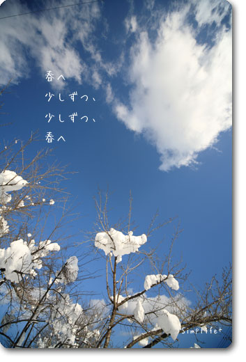 飛騨高山の冬の青空