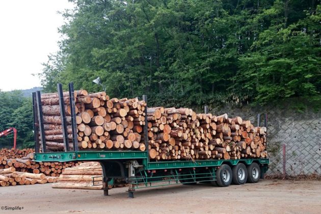 木材市場　岐阜県森林組合連合会　県森連　セリ　