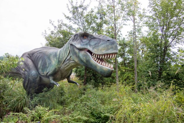 かつやまディノパーク　福井県立恐竜博物館