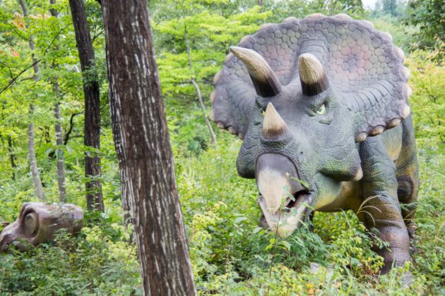 かつやまディノパーク　福井県立恐竜博物館
